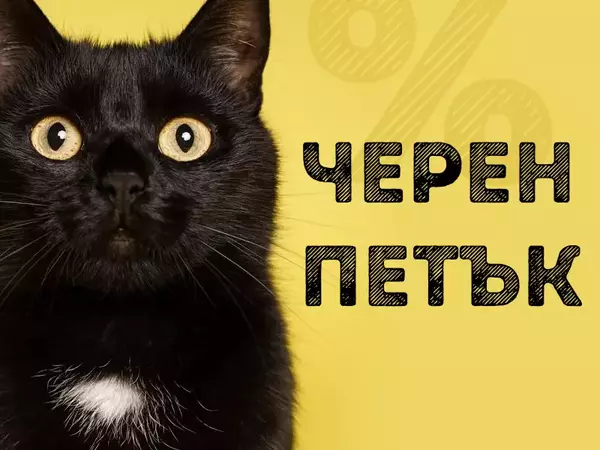 Експерт: Внимавайте за фалшиви сайтове на Черния петък