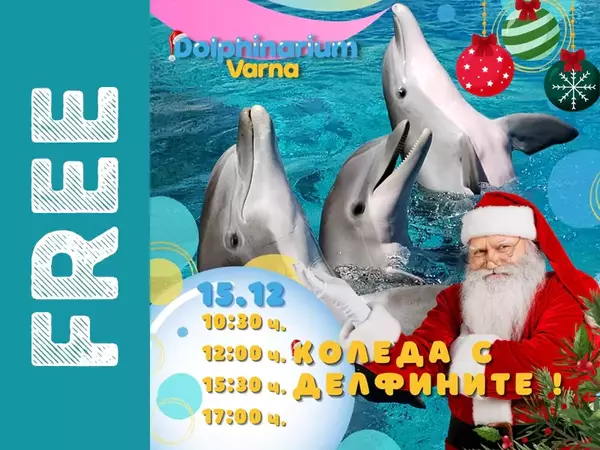 За Коледа: Безплатен билет за децата подарява Варненският Делфинариум
