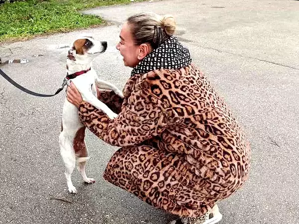 Две кученца от приюта в Каменар намериха свои стопани 