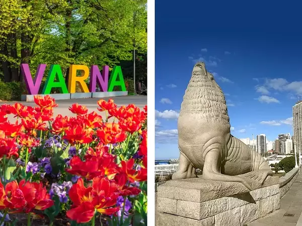 Побратимяват Варна с аржентинския Мар дел Плата