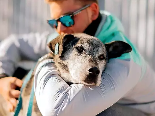 Осиновиха още 4 кученца от Приюта в Каменар