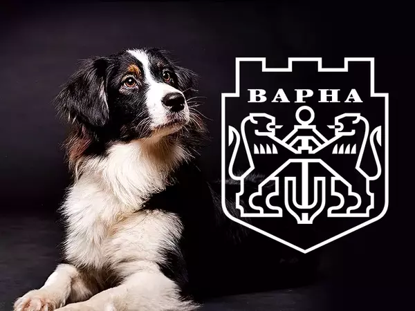 Затягат контрола около отглеждането на домашни любимци във Варна