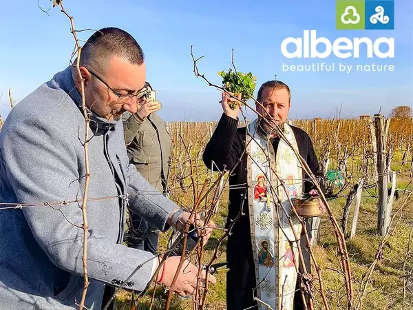 Зарязаха лозята в Албена