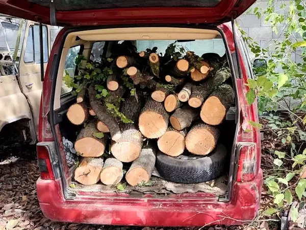 Само за месец: Близо 60 акта съставиха горски служители на нарушители