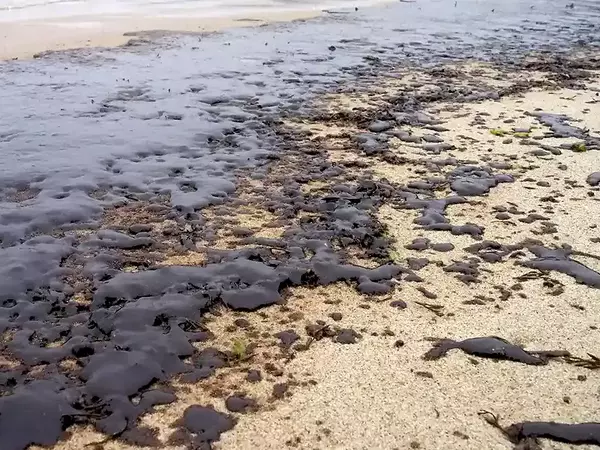150 000 лв глоба грози виновника за замърсяване с мазут на варненския плаж