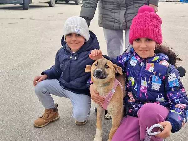 За седмица: Осиновиха още 6 кученца от приюта в Каменар