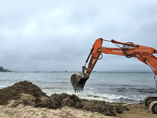 Заради нефтения разлив: Бедствено положение във Варна