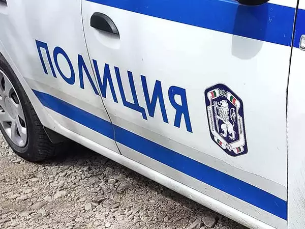 Задържаха мъж от Гроздьово гонил с брадва полицаи