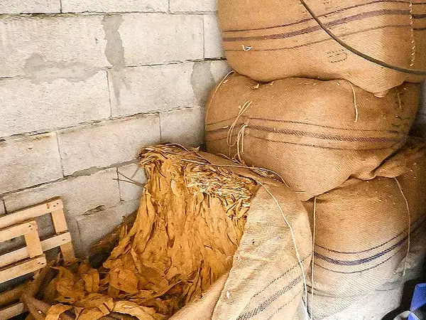 Спипаха 50-годишен варненец с 25 кг тютюн без бандерол