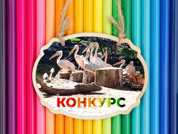 Варненският зоопарк обяви конкурс за детска рисунка