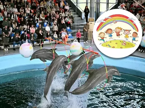 В Деня на детето: Безплатни представления за най-малките организира Делфинариум Варна 