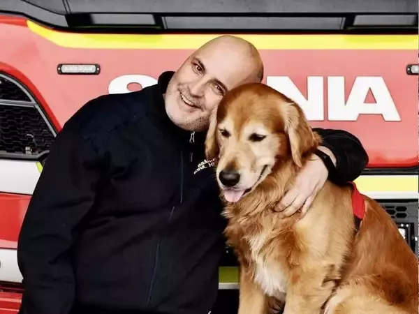 Почина кучето Килиан, спасило 18 души след земетресенията в Турция