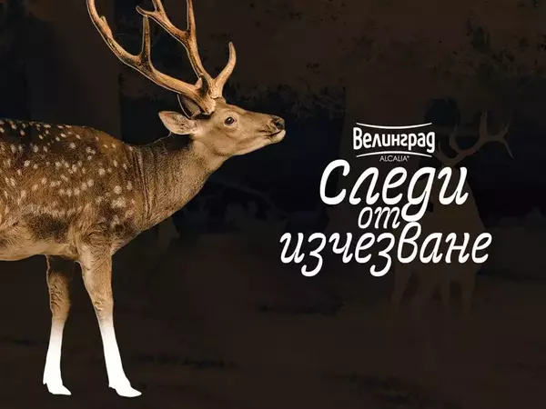 Пътуващата изложба "Следи от изчезване" гостува във Варна