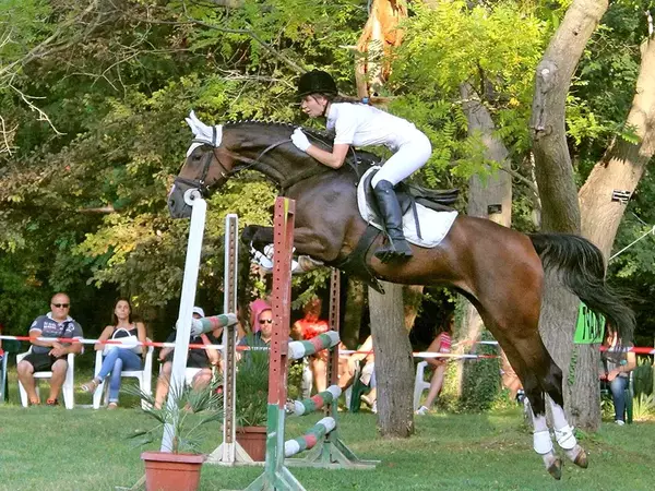 Варненският екопарк приема Републикански турнир по конен спорт 