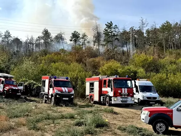 Шест екипа на пожарната гасиха пожар в местност Джанавара
