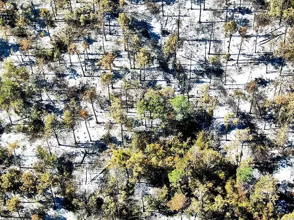 Около 50 декара горски терен е засегнат от пожара в местност Джанавара