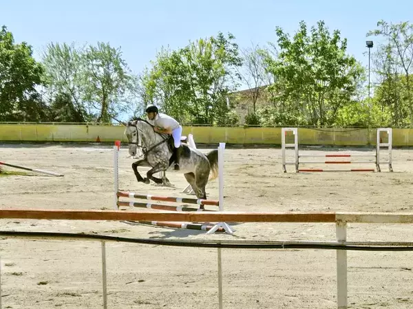 До 31 май 2027-а: Ремонтират конната база във Виница