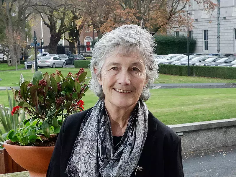 Ляв кандидат спечели президентските избори в Ирландия