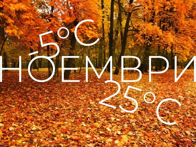 Между -5 и 25 градуса през ноември