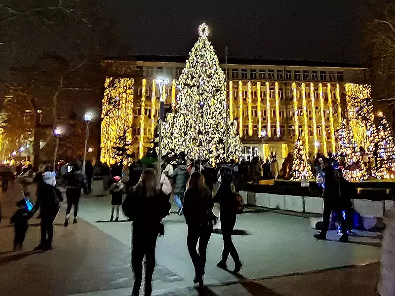 По традиция на Никулден грейва коледната елха във Варна