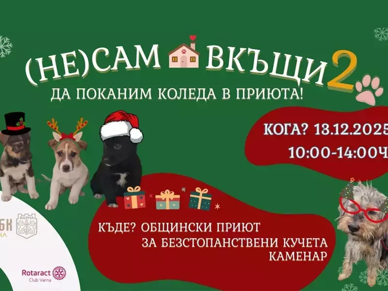 Коледна инициатива "(НЕ) Сам вкъщи" организира приютът в Каменар