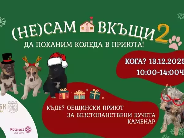 Коледна инициатива "(НЕ) Сам вкъщи" организира приютът в Каменар