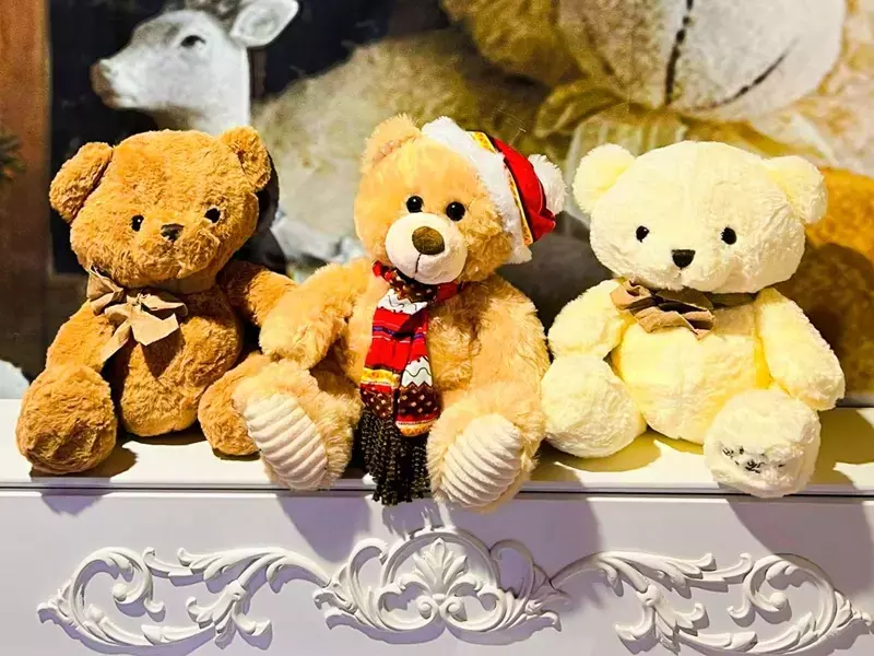 6 753 евро събра благотворителната кампания "Купи мече – стопли дете"