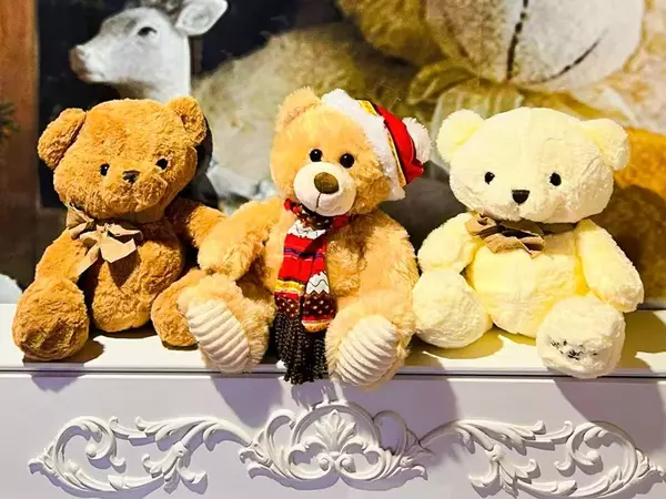 6 753 евро събра благотворителната кампания "Купи мече – стопли дете"