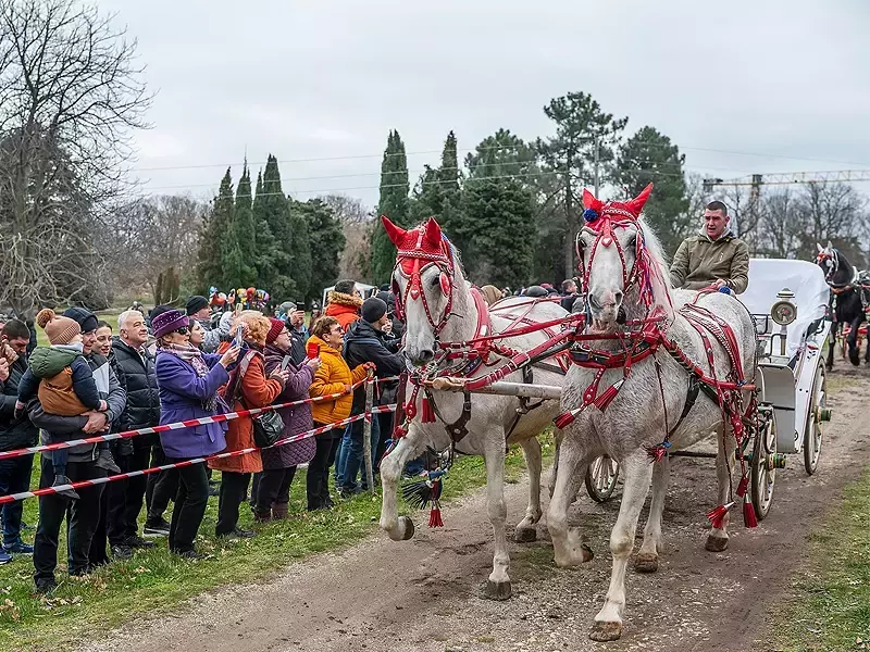 С конкурс за най-красив конски впряг и традиционна кушия отбелязаха Тодоровден във Варненския Екопарк