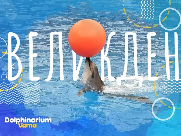 Великден с делфините организира Варненският делфинариум