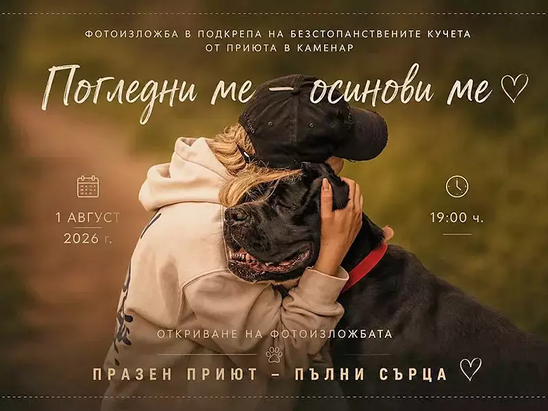 Фотоизложба във Варна насърчава осиновяването на безстопанствени кучета