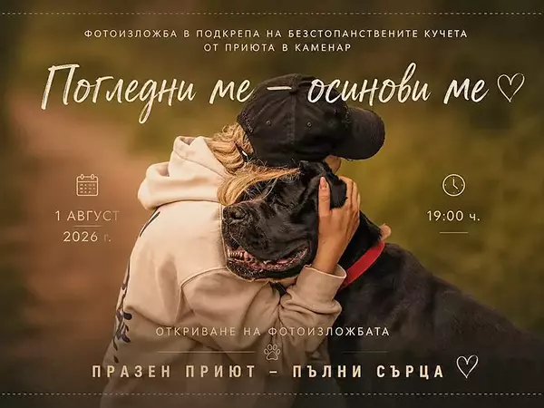 Фотоизложба във Варна насърчава осиновяването на безстопанствени кучета